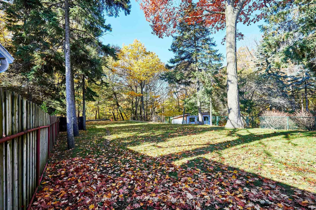 24, Larwood, Cliffcrest, Toronto