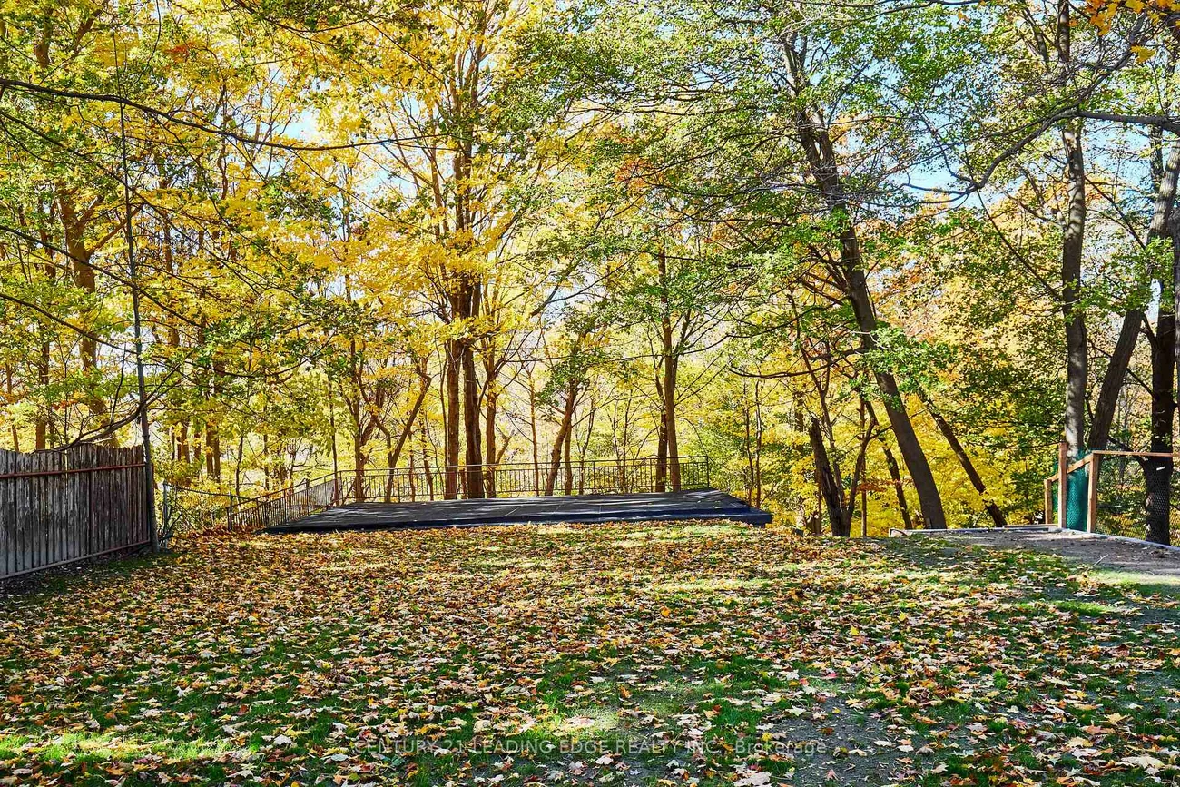 24, Larwood, Cliffcrest, Toronto