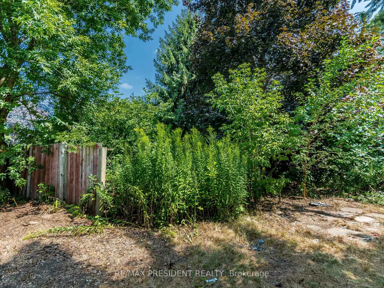 135, Kitchener, West Hill, Toronto