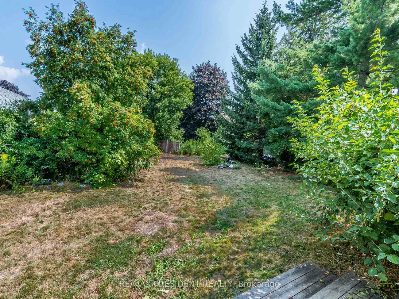 135, Kitchener, West Hill, Toronto