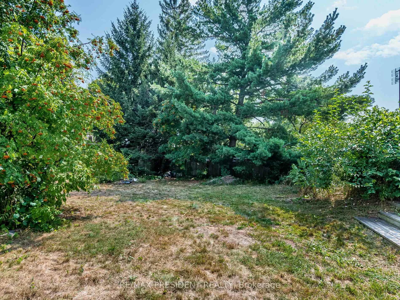 135, Kitchener, West Hill, Toronto