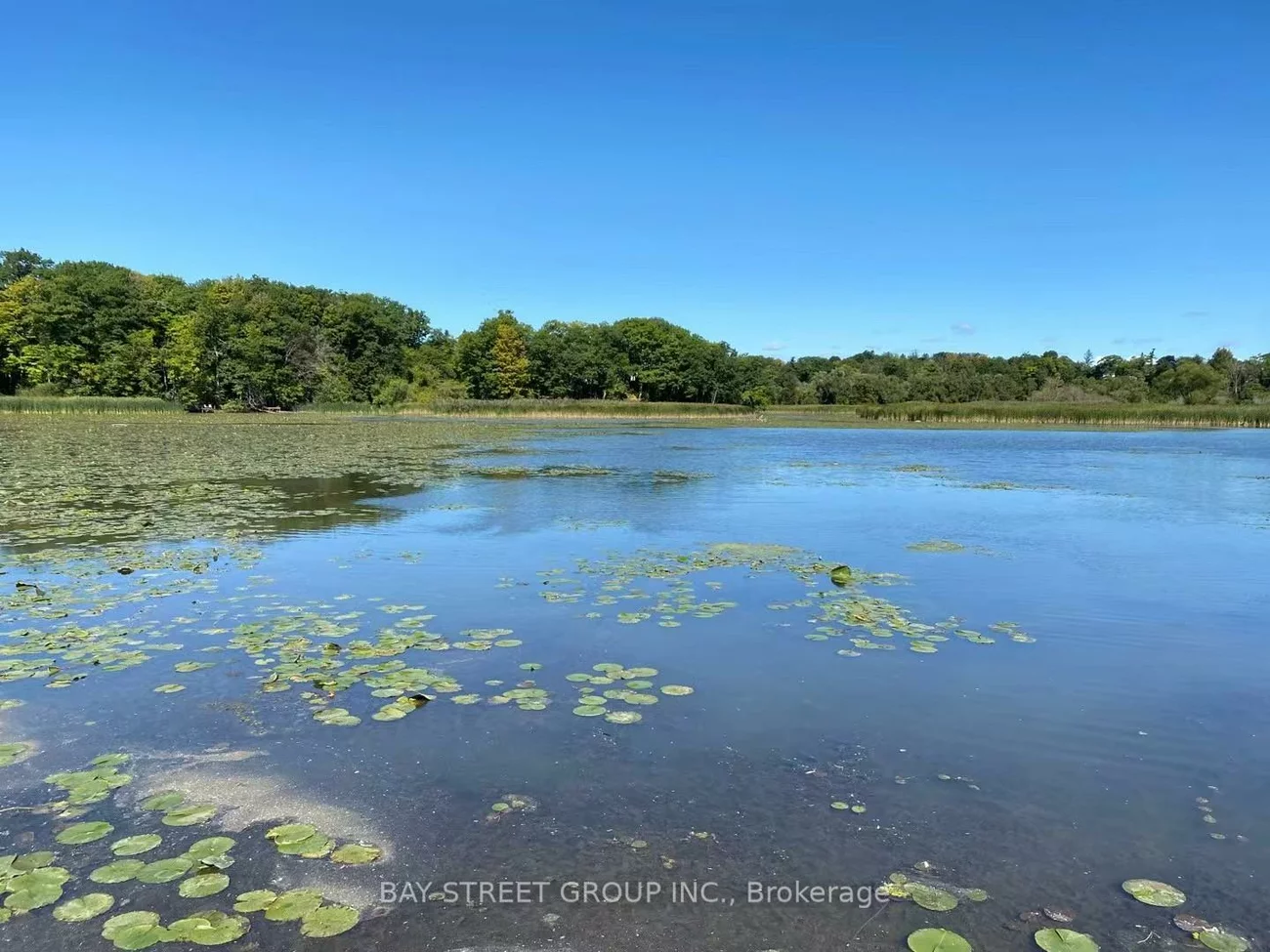 50, Greybeaver, Rouge E10, Toronto