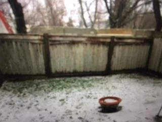 36, Eli Shackleton, West Hill, Toronto