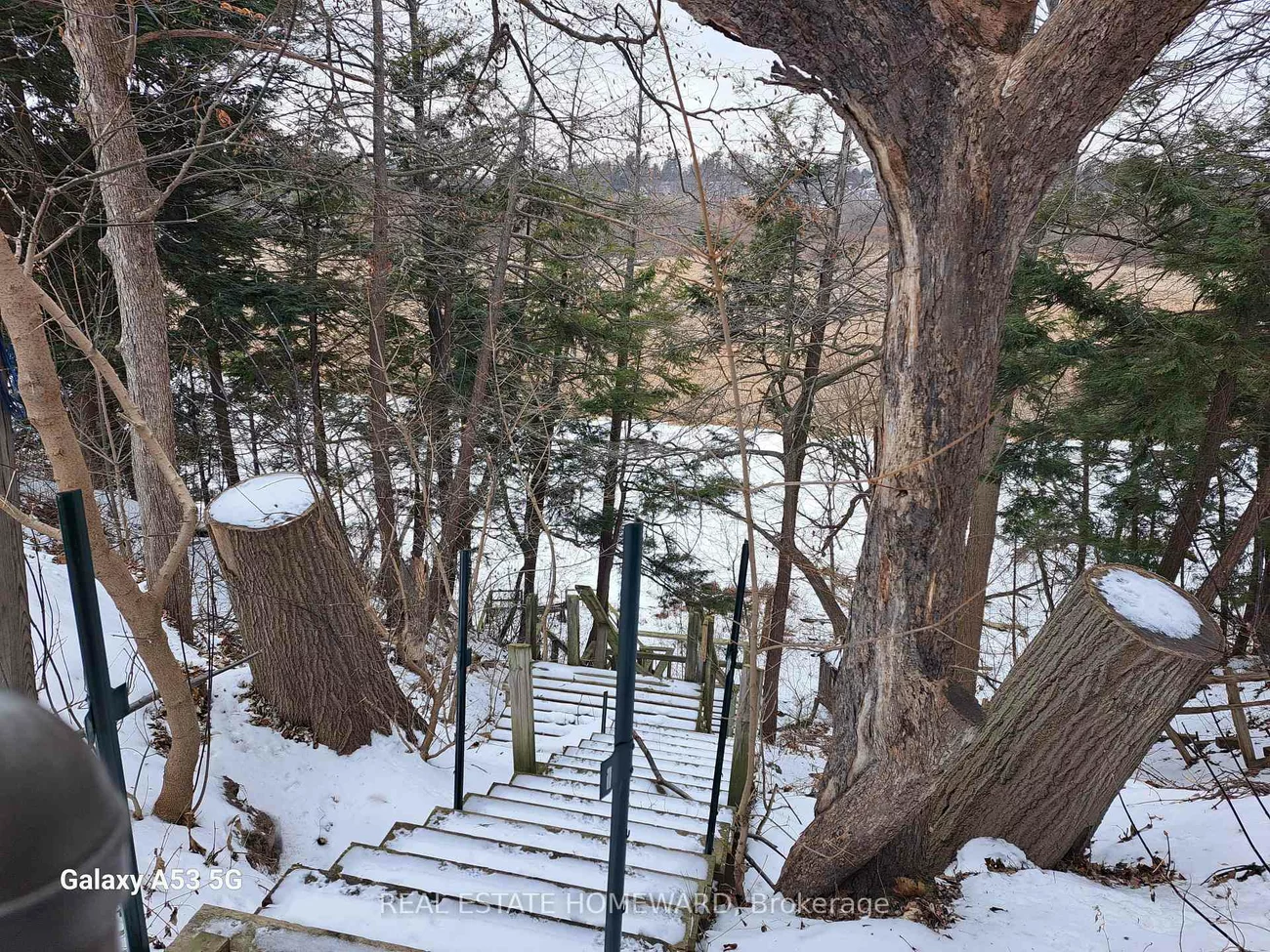 272, Taylor, Rouge E10, Toronto