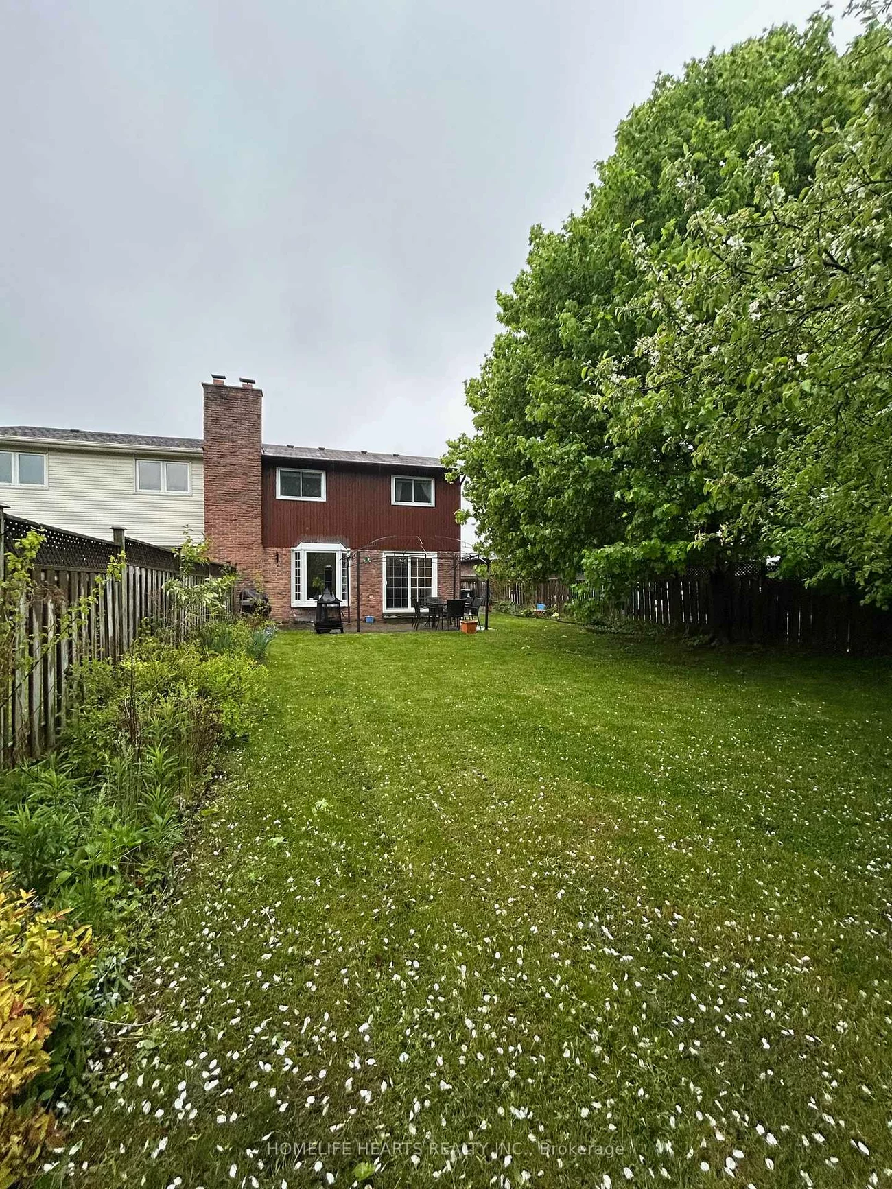 242, Braymore, Rouge E11, Toronto