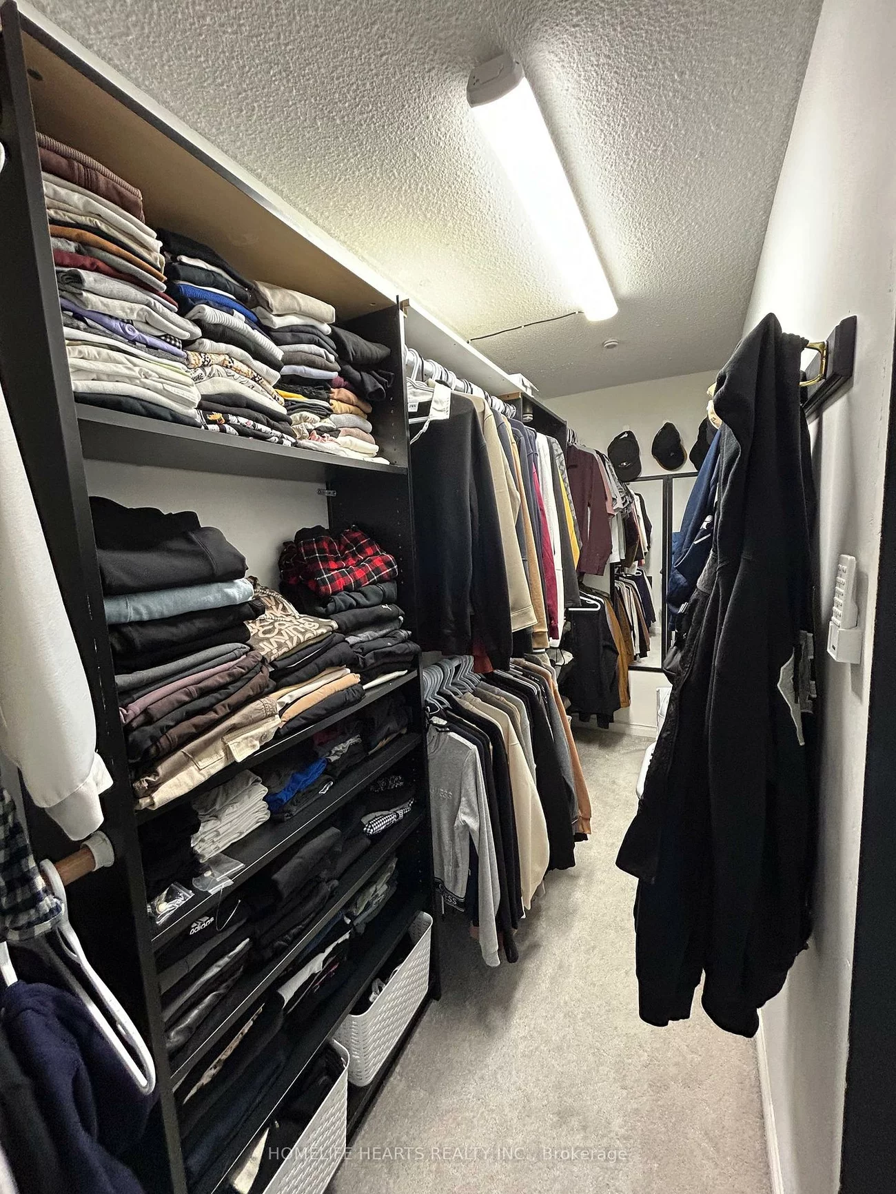 242, Braymore, Rouge E11, Toronto