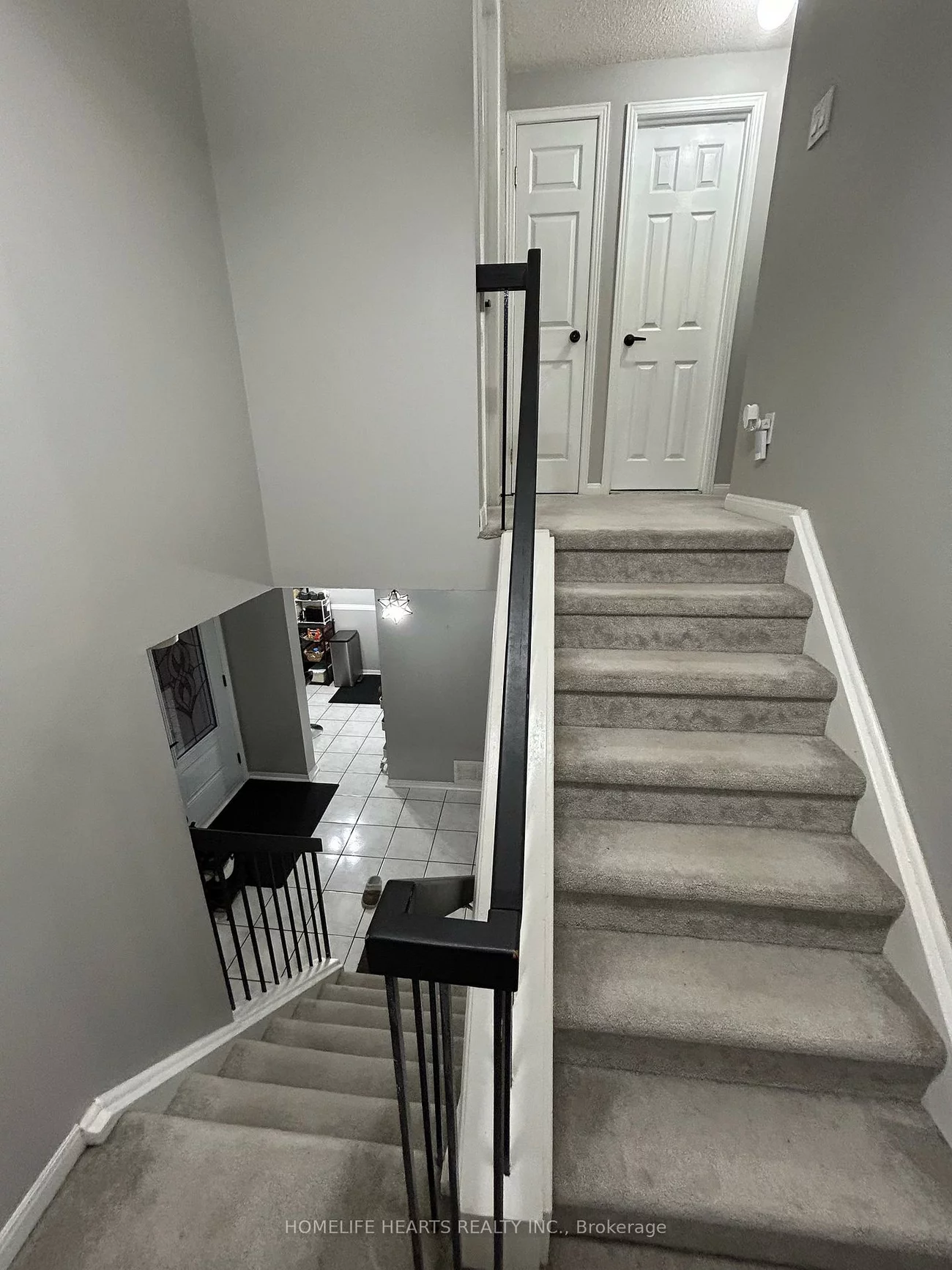 242, Braymore, Rouge E11, Toronto