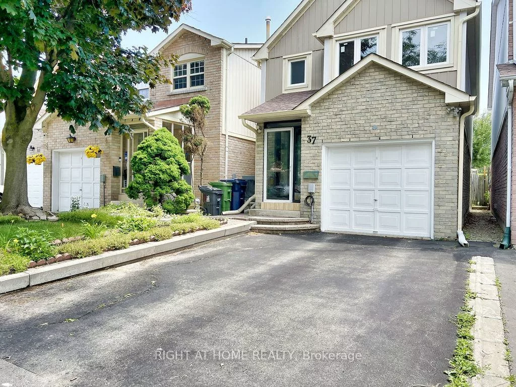 37, Becca Hall, Milliken, Toronto