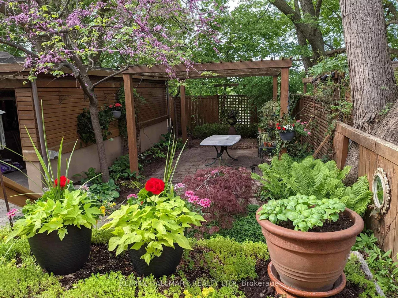 22, Chester Hill, Playter Estates-Danforth, Toronto