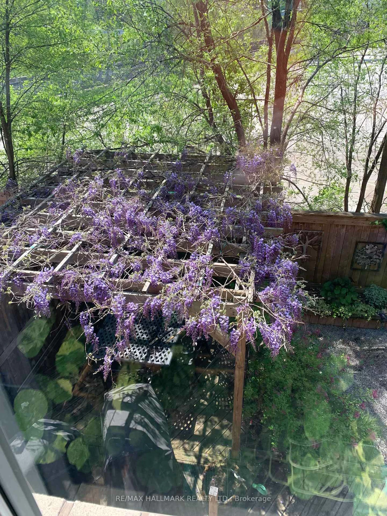 9, Pethick, Clairlea-Birchmount, Toronto