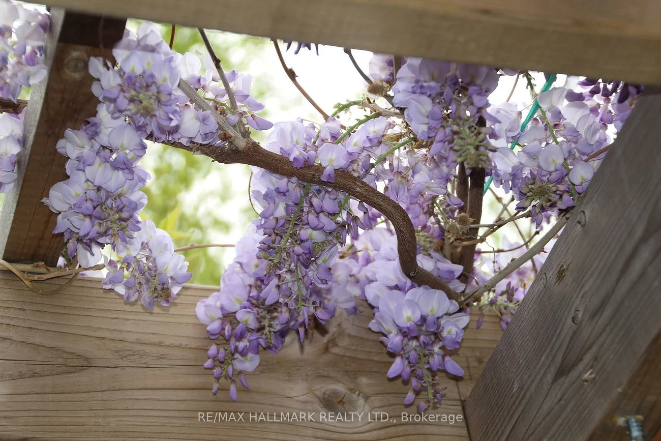 9, Pethick, Clairlea-Birchmount, Toronto