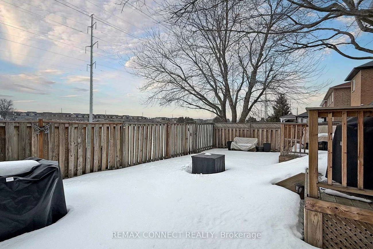 111, Dali, Rouge E11, Toronto