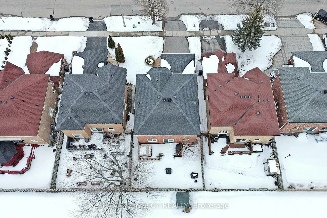 111, Dali, Rouge E11, Toronto