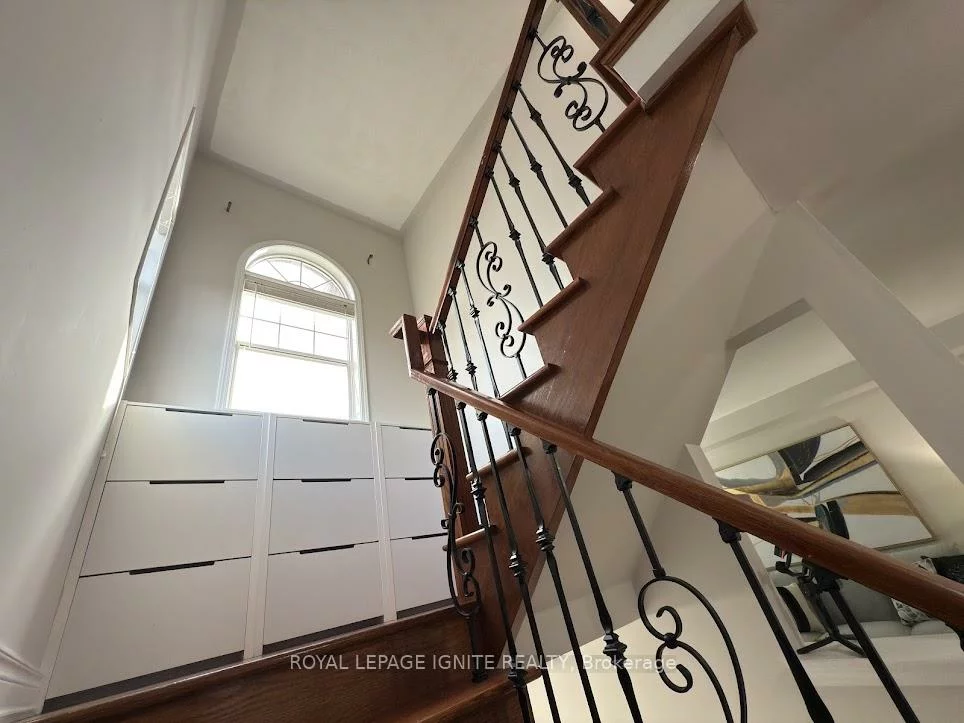 40, Reindeer, Rouge E11, Toronto