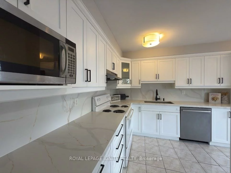 40, Reindeer, Rouge E11, Toronto