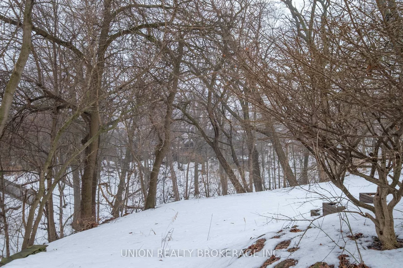 10, Hollywood, Woodbine Corridor, Toronto