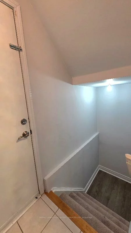 29, Flycatcher, Rouge E11, Toronto