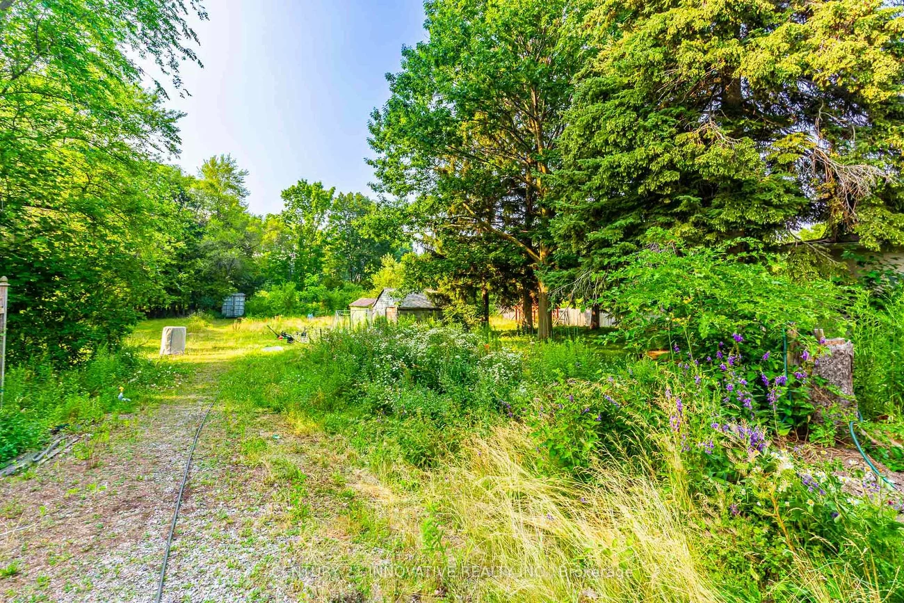 64, Dale, Guildwood, Toronto