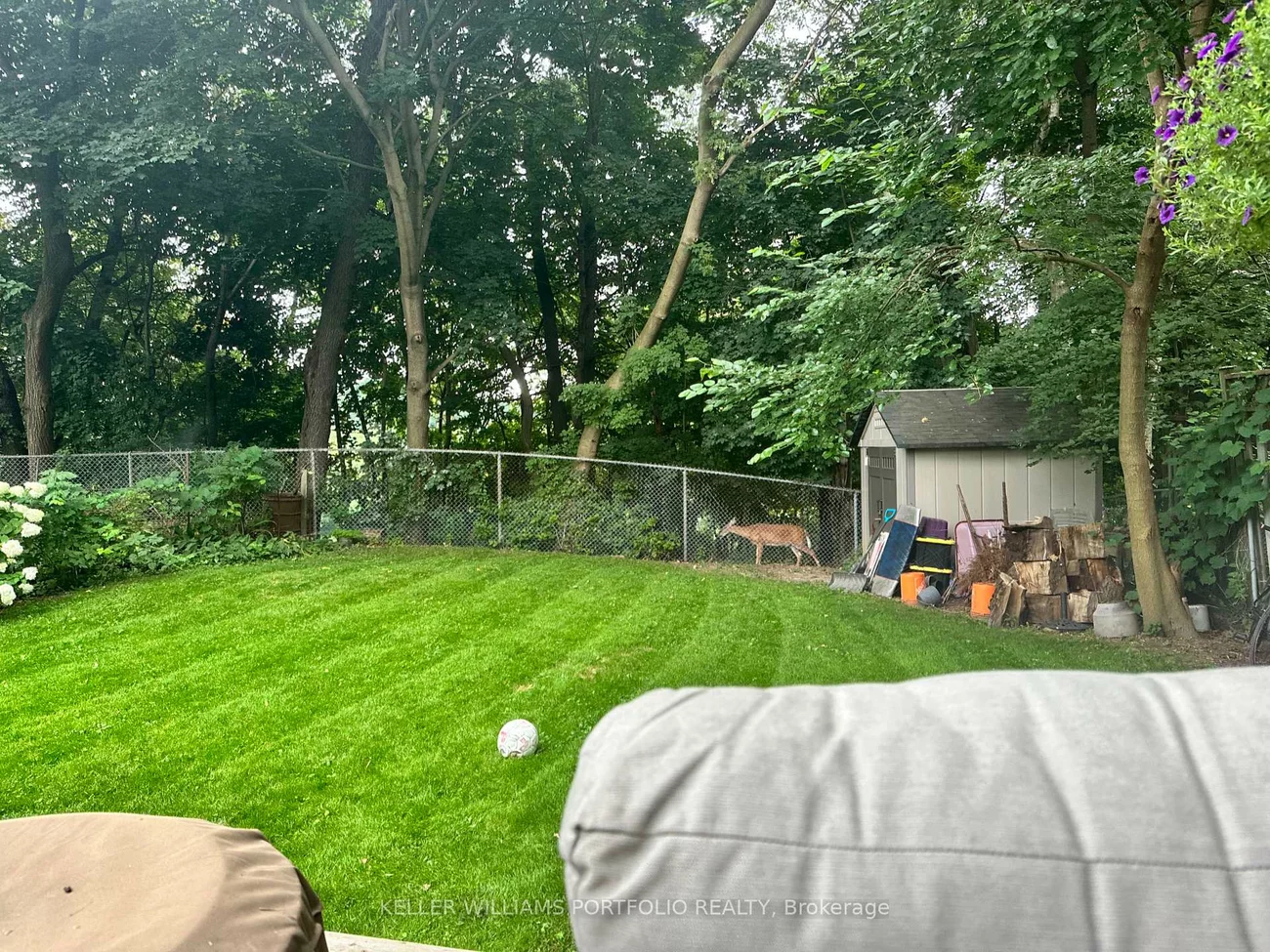 49, Dolphin, Clairlea-Birchmount, Toronto