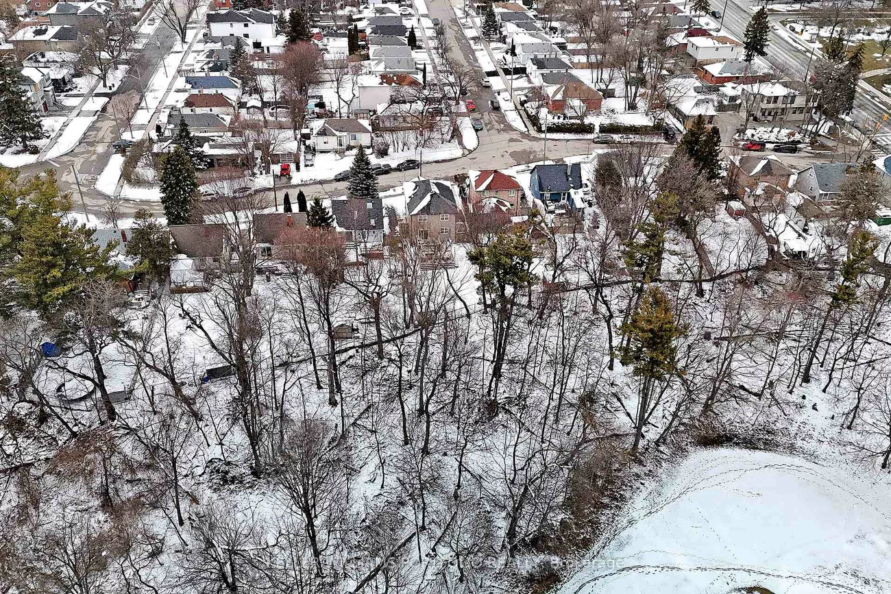 49, Dolphin, Clairlea-Birchmount, Toronto