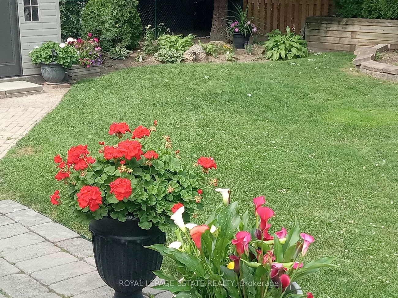 15, Squires, O'Connor-Parkview, Toronto