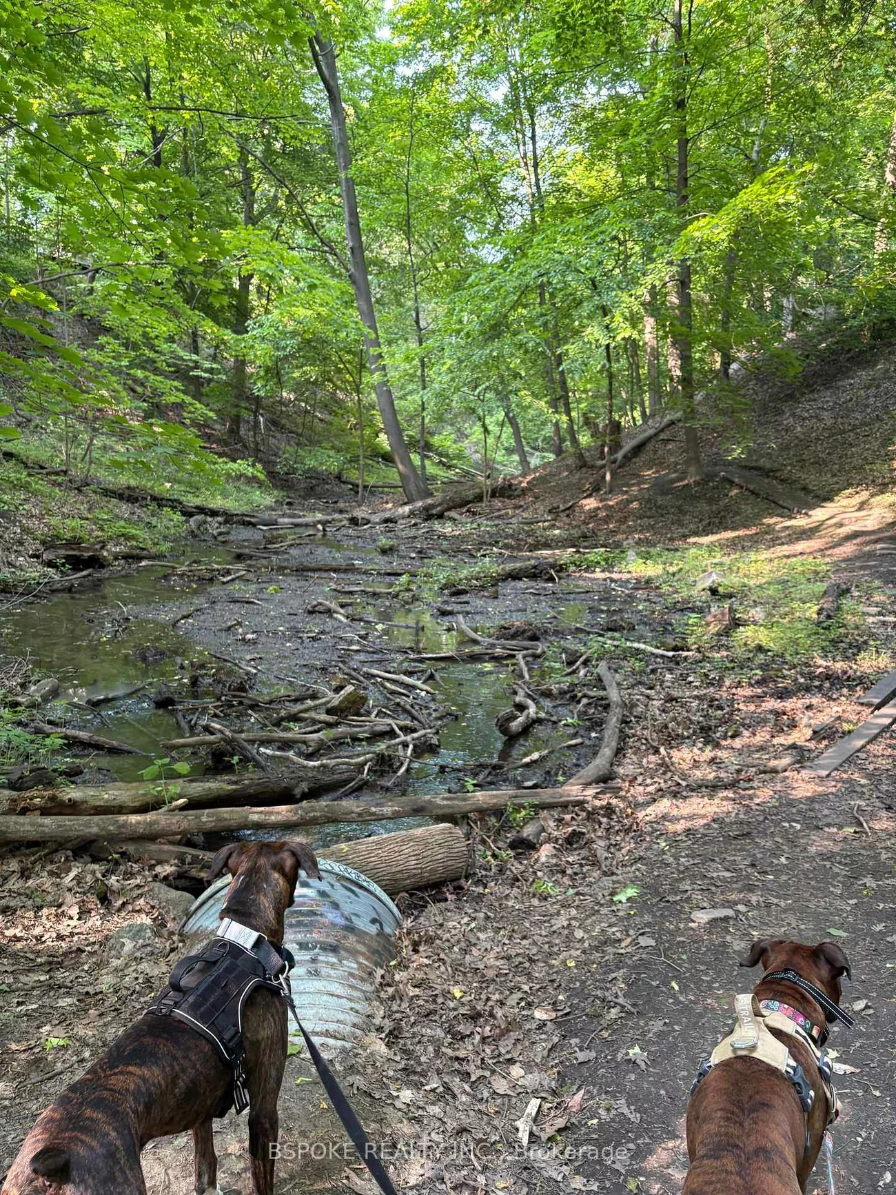 291, Gainsborough, Woodbine Corridor, Toronto