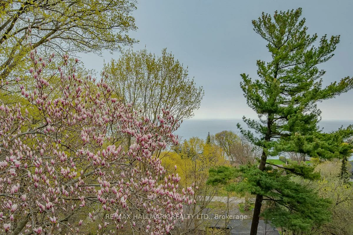 2, Ledge, Cliffcrest, Toronto