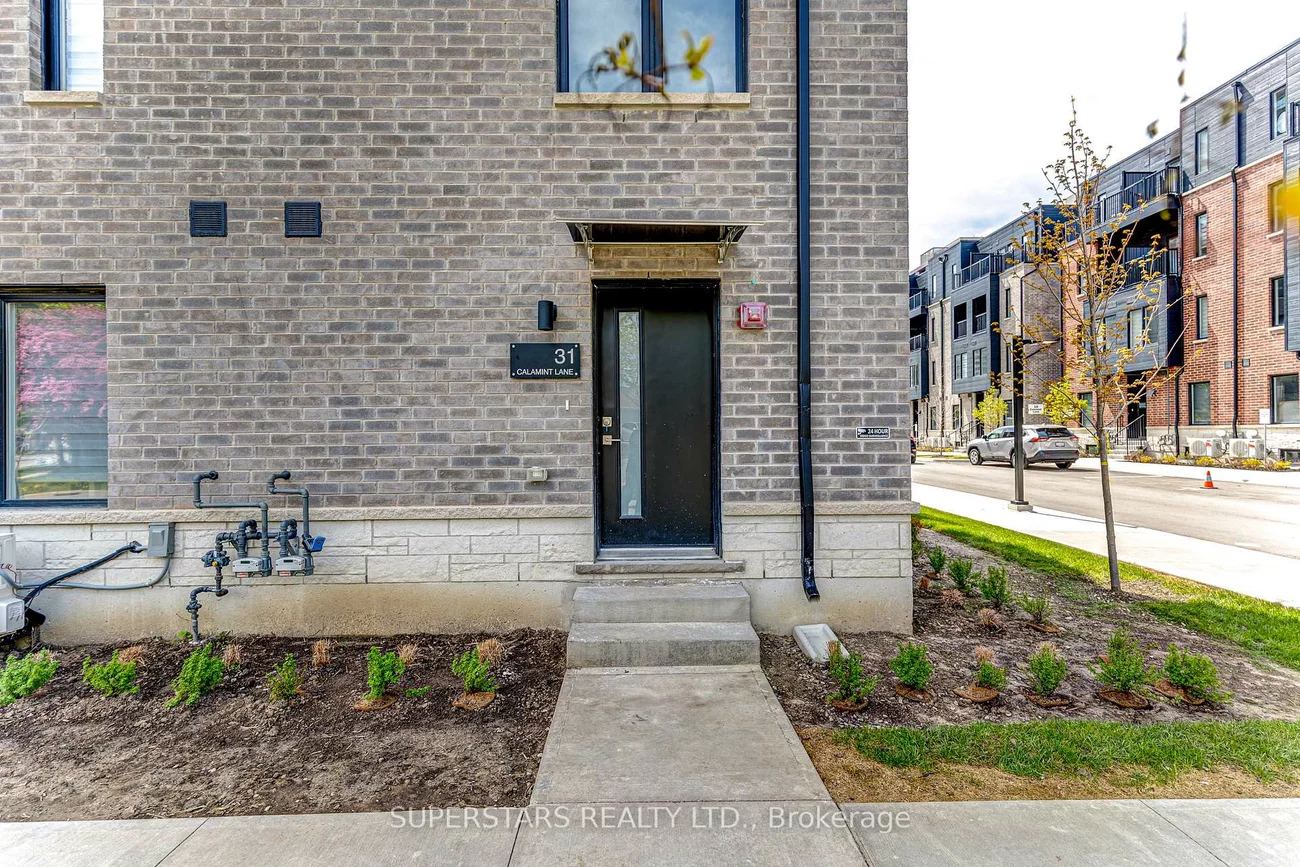 31, Calamint, L'Amoreaux, Toronto