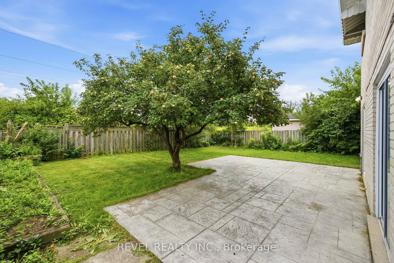 17, Amberjack, Woburn, Toronto