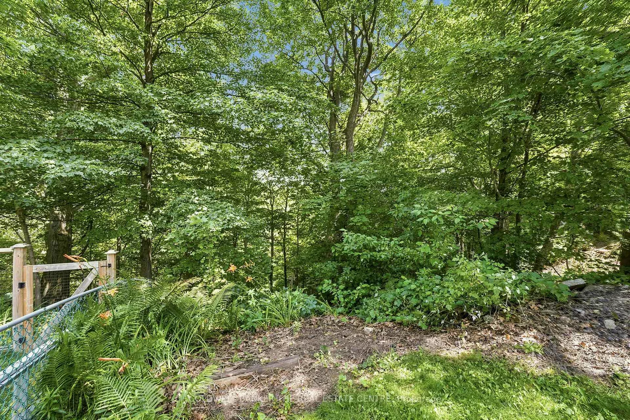 15, Presley, Clairlea-Birchmount, Toronto