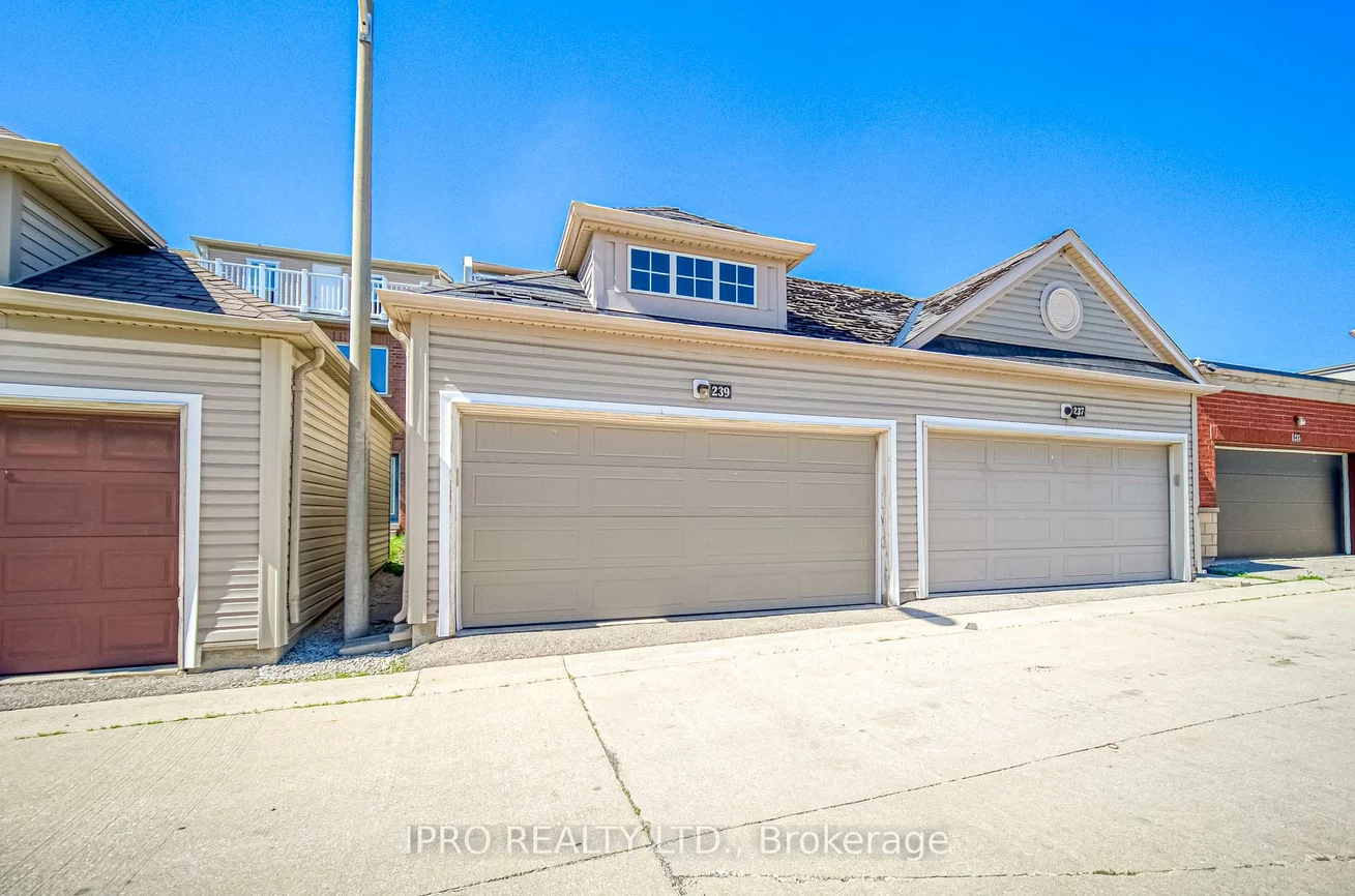 239, Assiniboine, York University Heights, Toronto