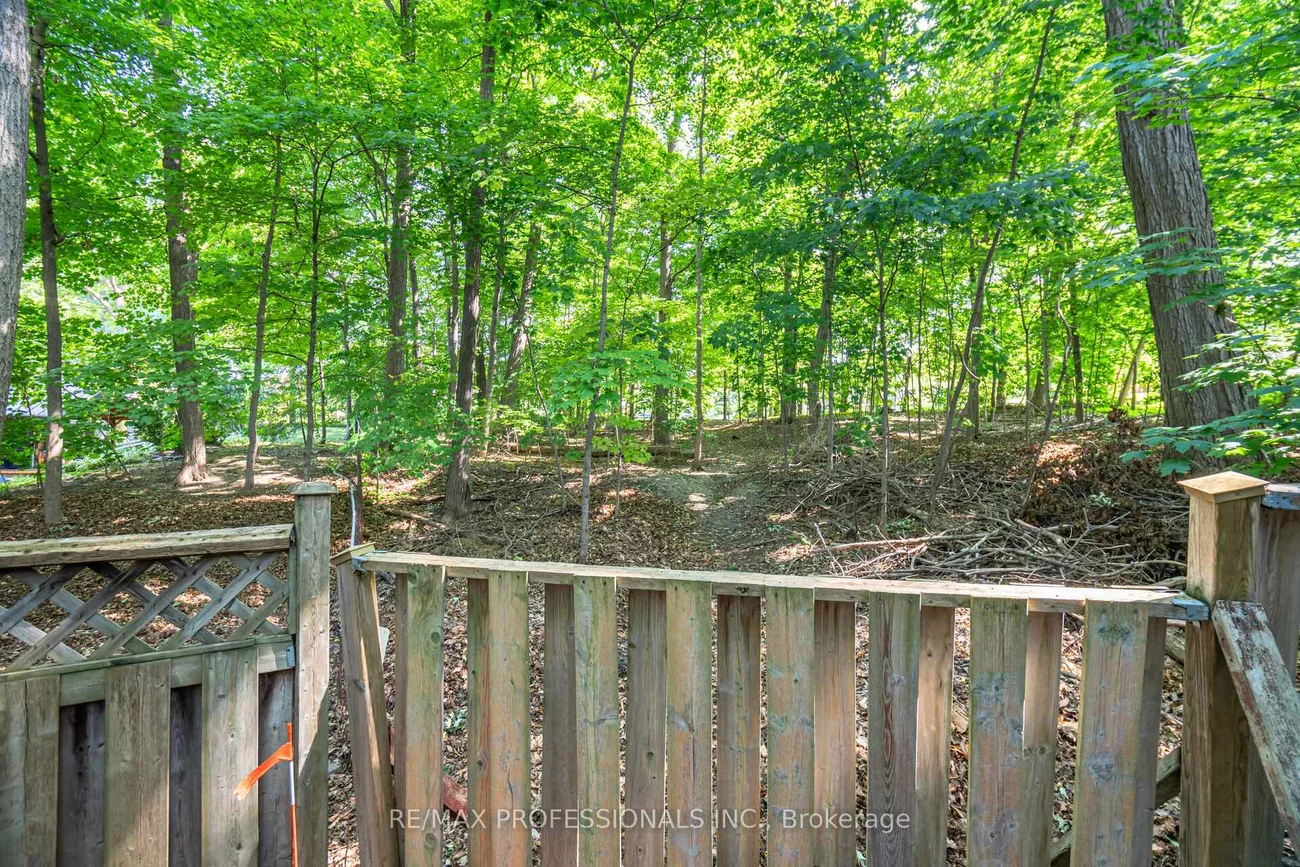 7, Queensborough, Willowridge-Martingrove-Richview, Toronto