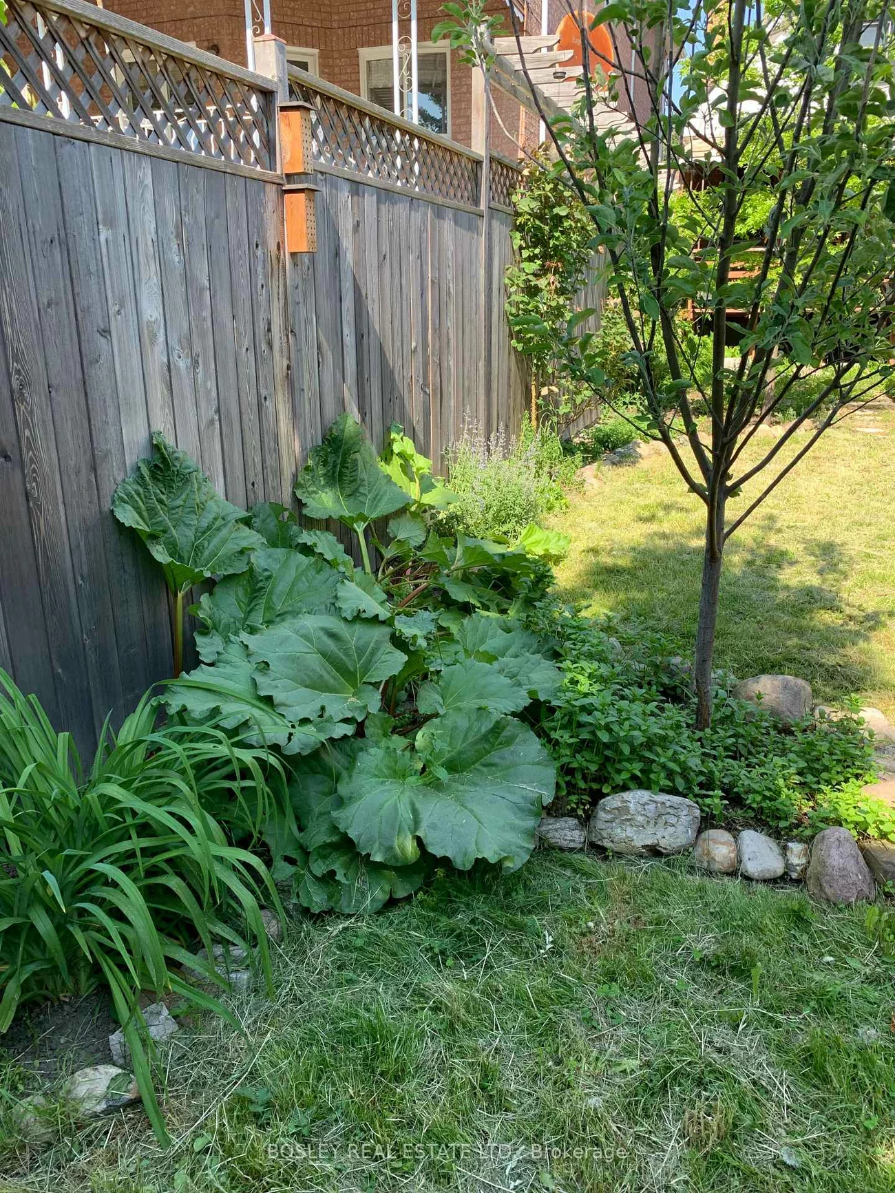 224, Rosethorn, Keelesdale-Eglinton West, Toronto