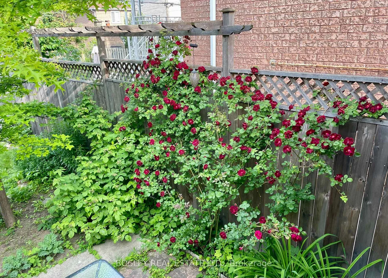 224, Rosethorn, Keelesdale-Eglinton West, Toronto