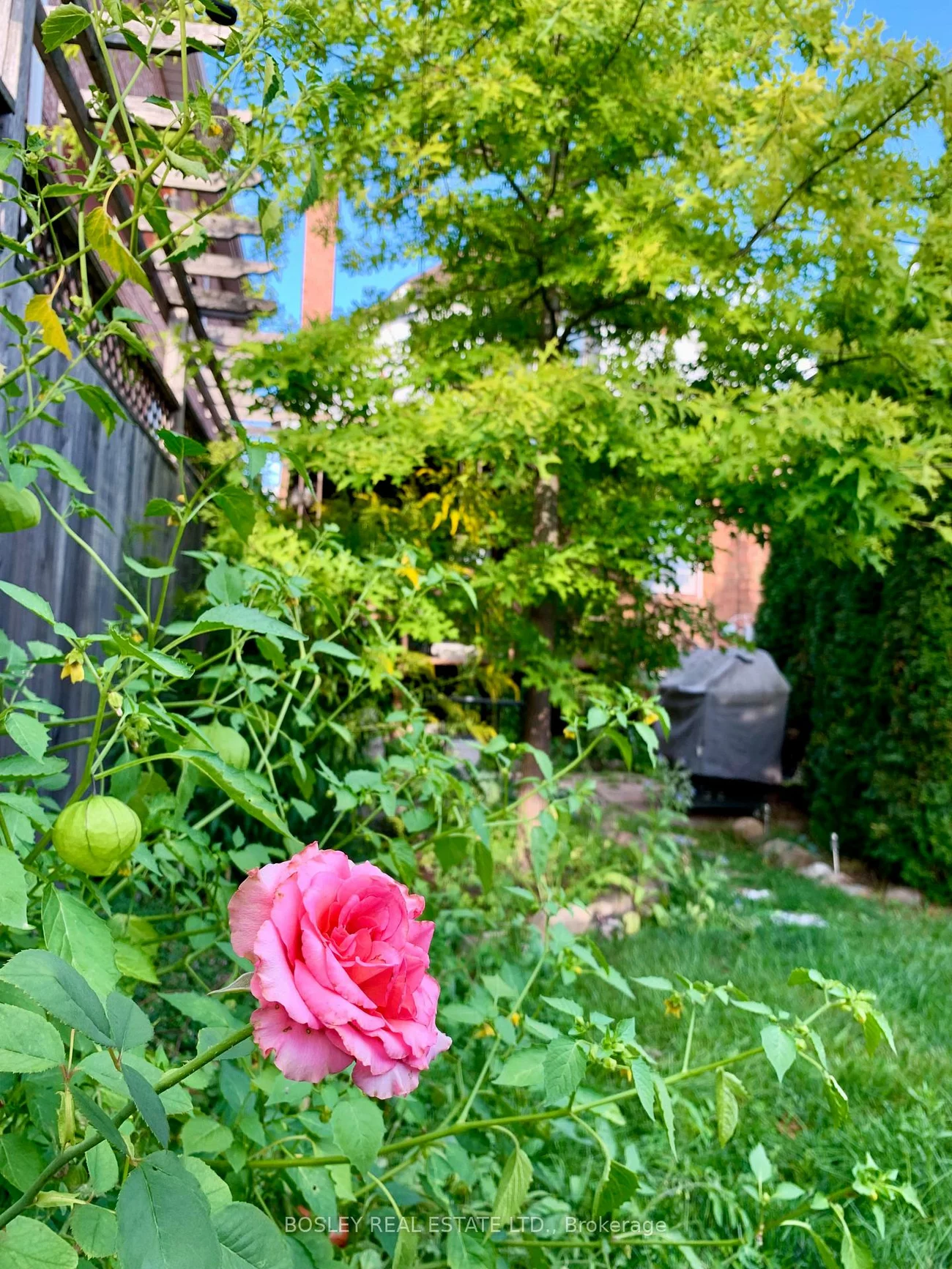 224, Rosethorn, Keelesdale-Eglinton West, Toronto