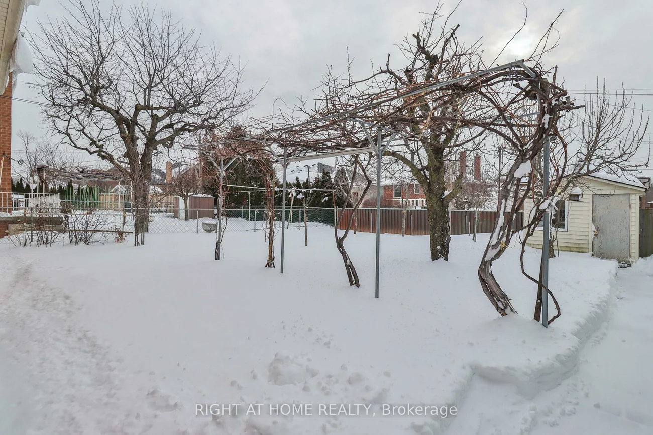 459, Maple Leaf, Maple Leaf, Toronto