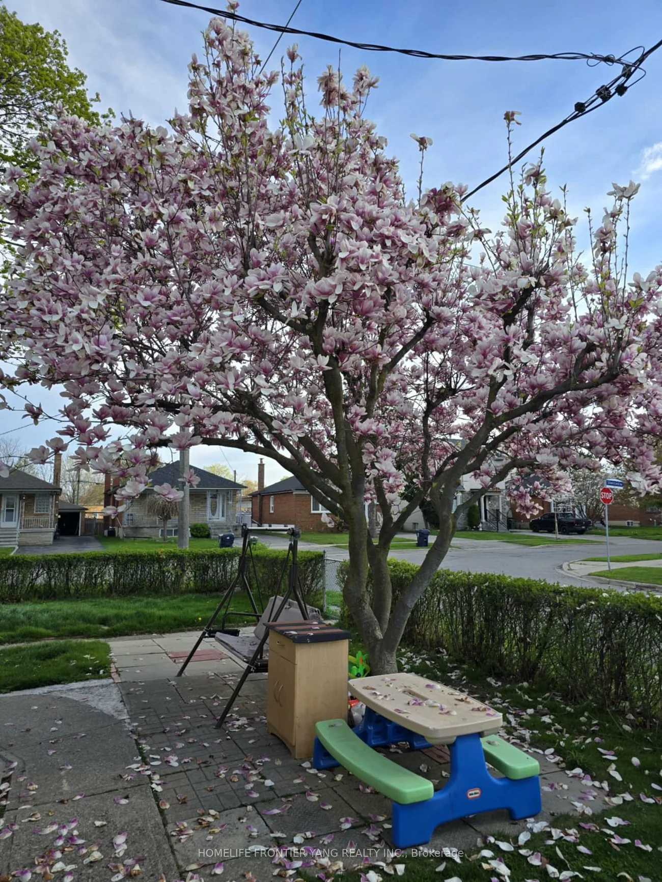 30, Silvercrest, Alderwood, Toronto