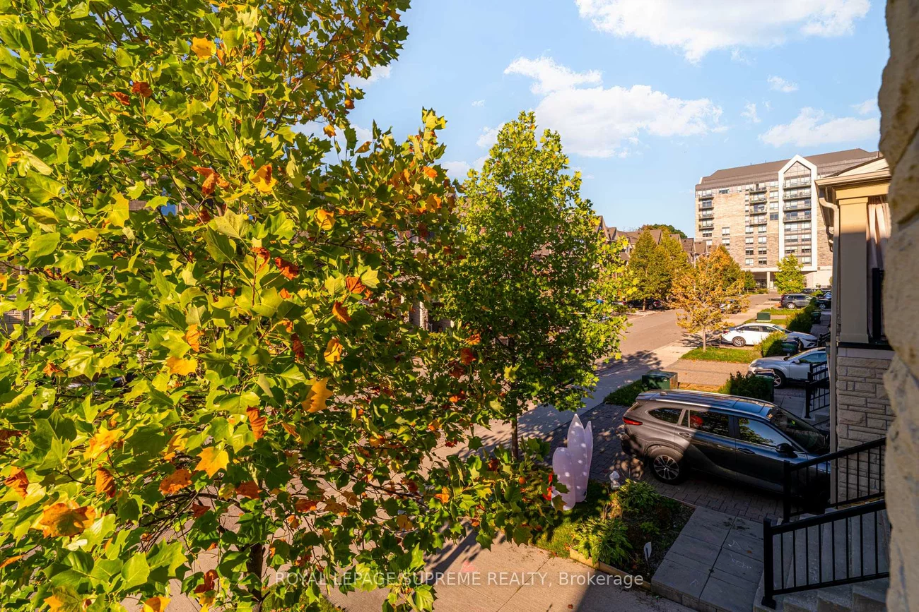 53, Dryden, Willowridge-Martingrove-Richview, Toronto