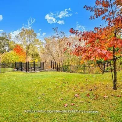 21, Disan, Thistletown-Beaumonde Heights, Toronto