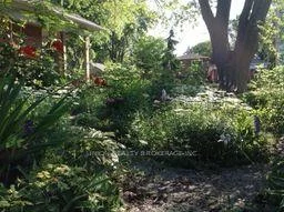 2, Hilo, Long Branch, Toronto