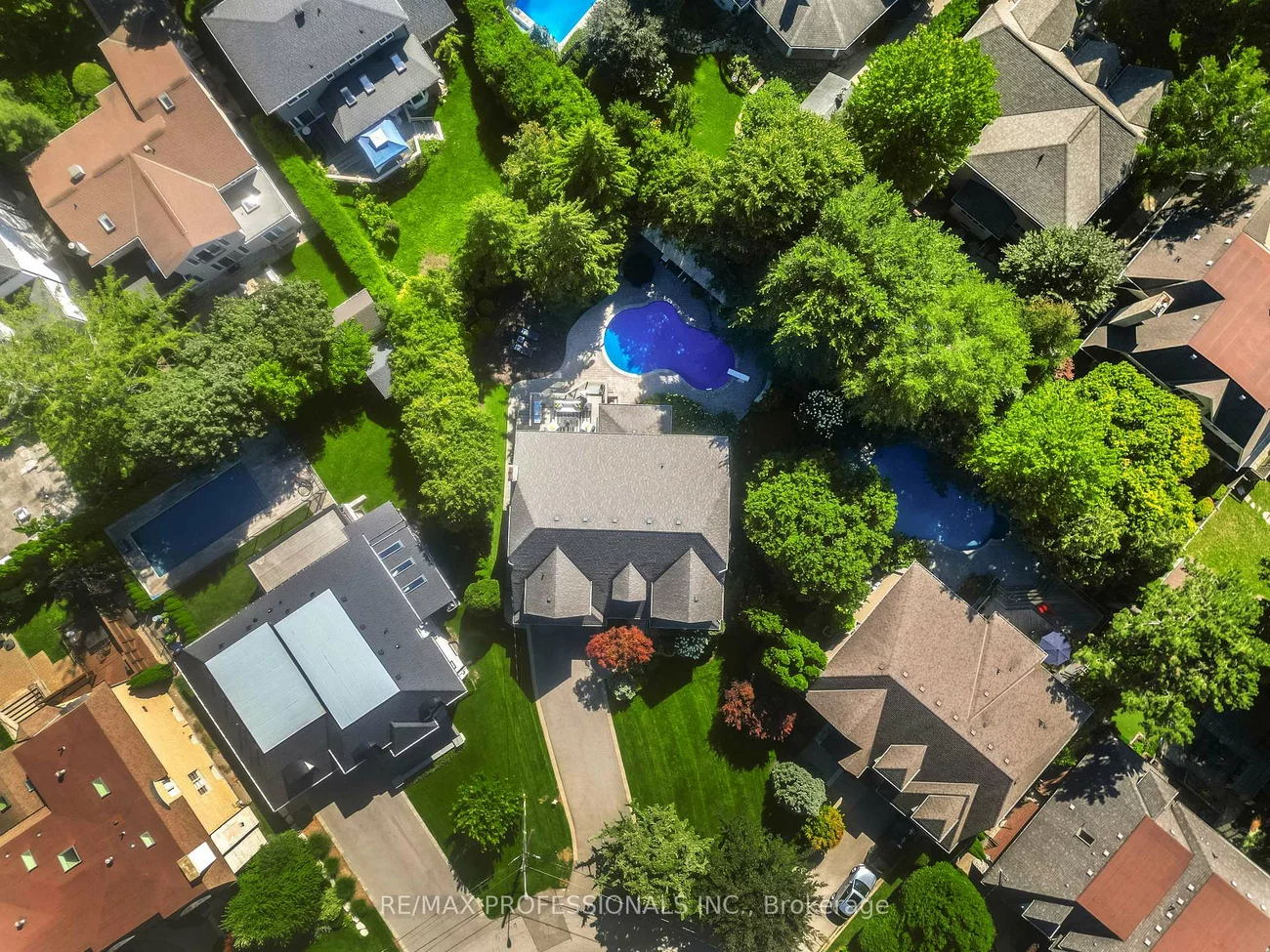 17, Rockingham, Princess-Rosethorn, Toronto