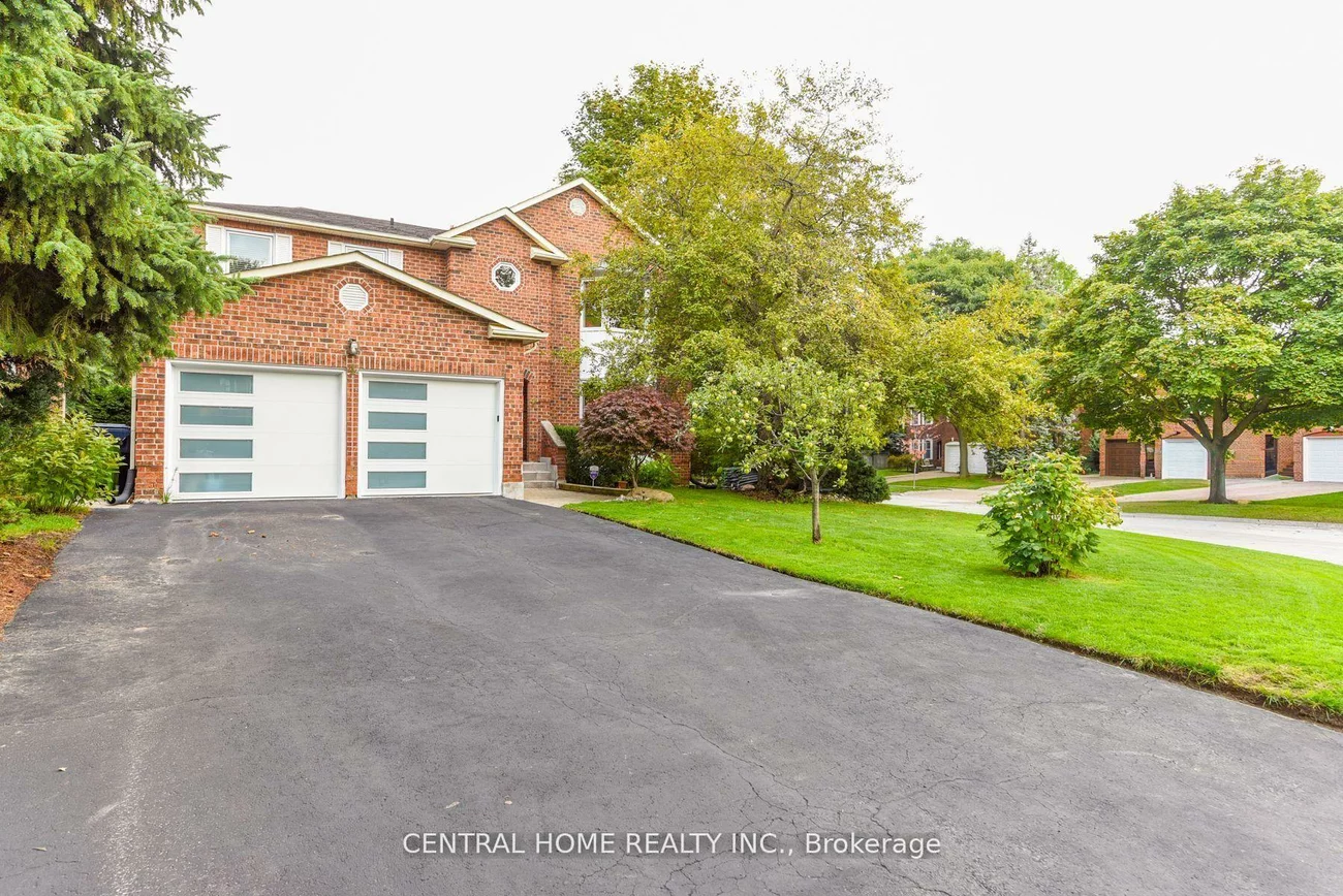 4, Robaldon, Princess-Rosethorn, Toronto