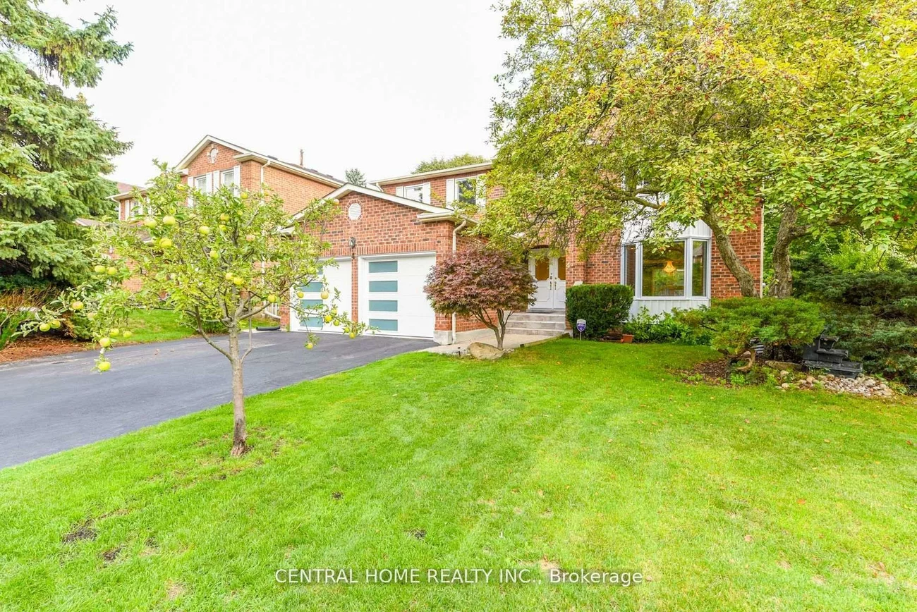 4, Robaldon, Princess-Rosethorn, Toronto