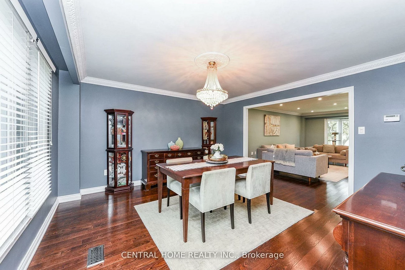 4, Robaldon, Princess-Rosethorn, Toronto
