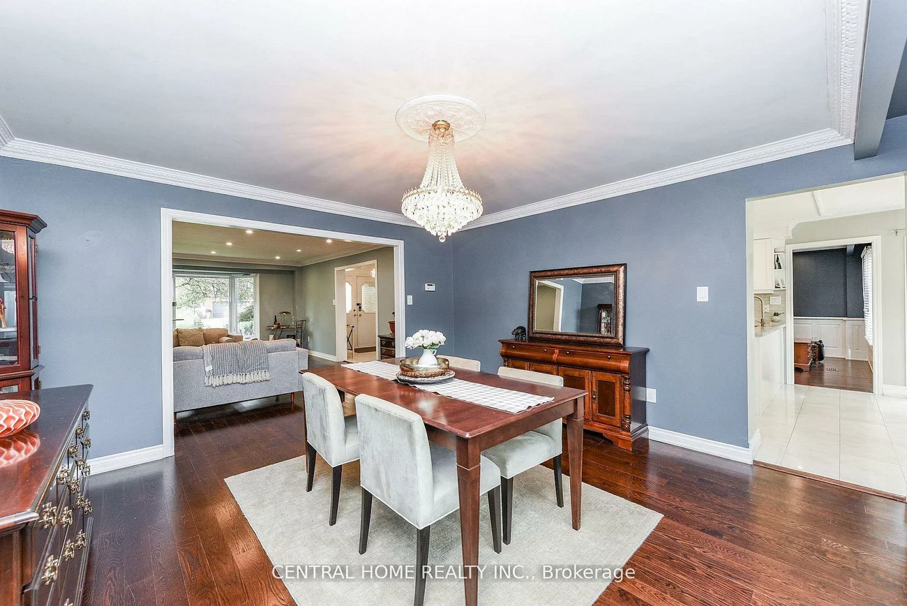 4, Robaldon, Princess-Rosethorn, Toronto