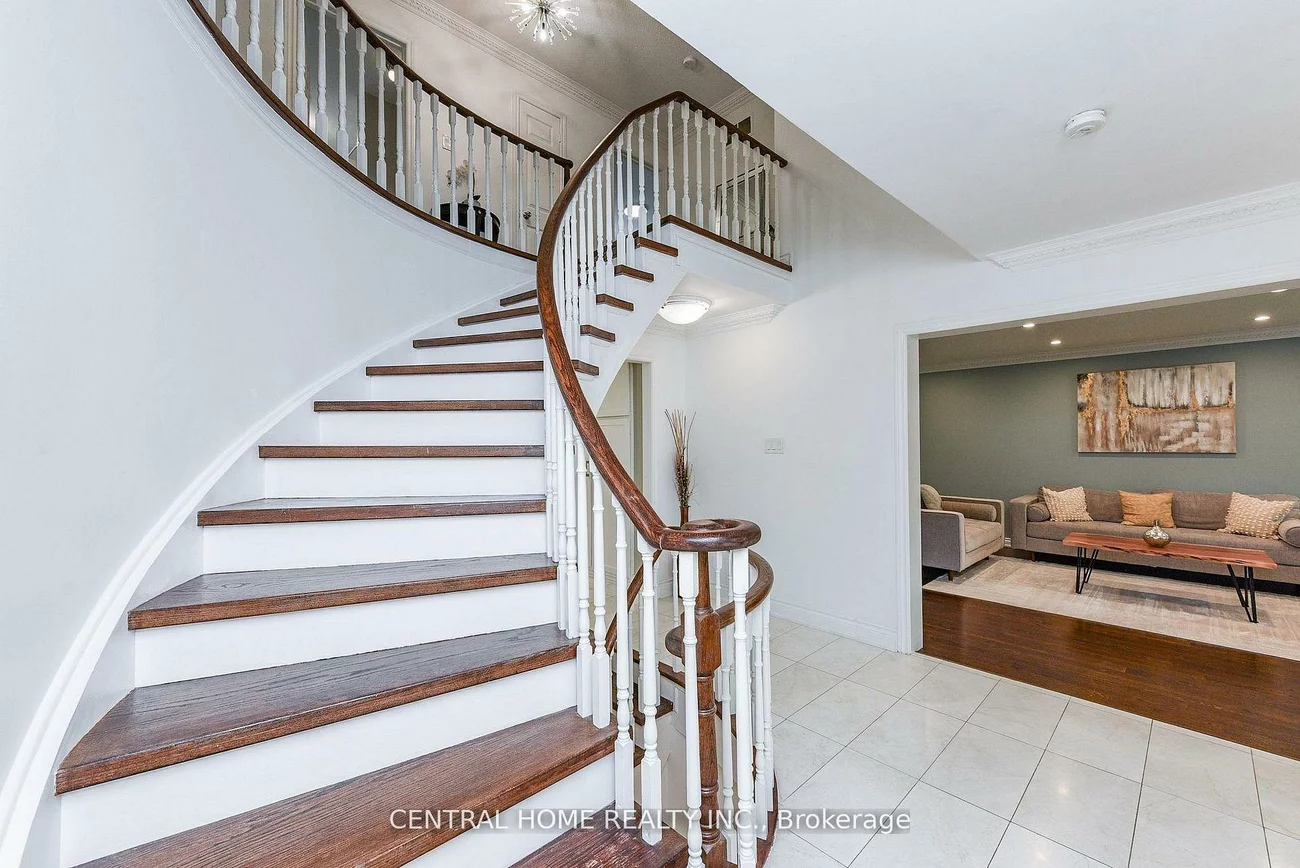 4, Robaldon, Princess-Rosethorn, Toronto