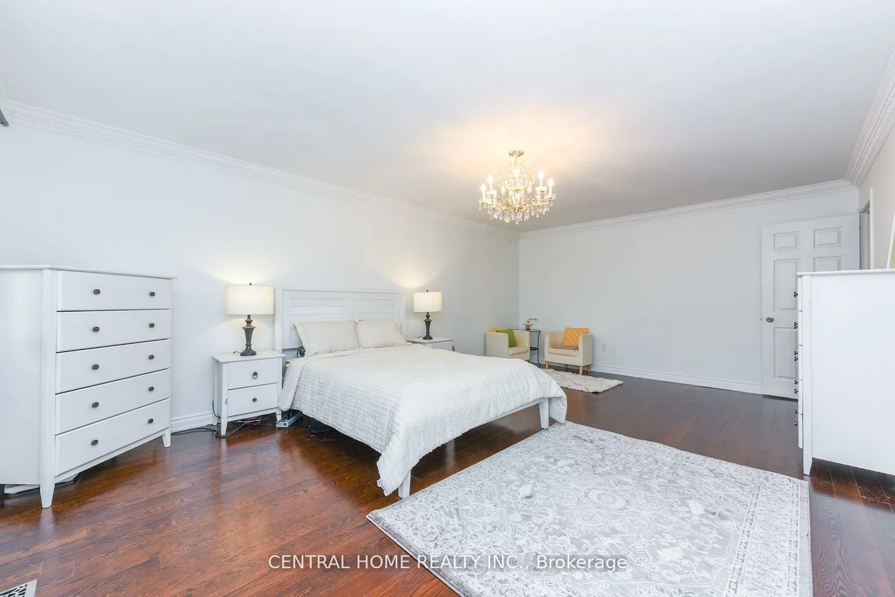 4, Robaldon, Princess-Rosethorn, Toronto
