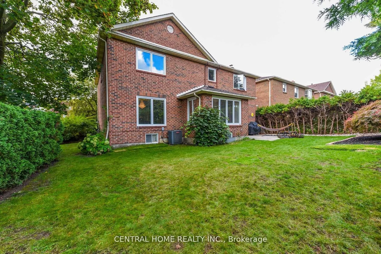 4, Robaldon, Princess-Rosethorn, Toronto