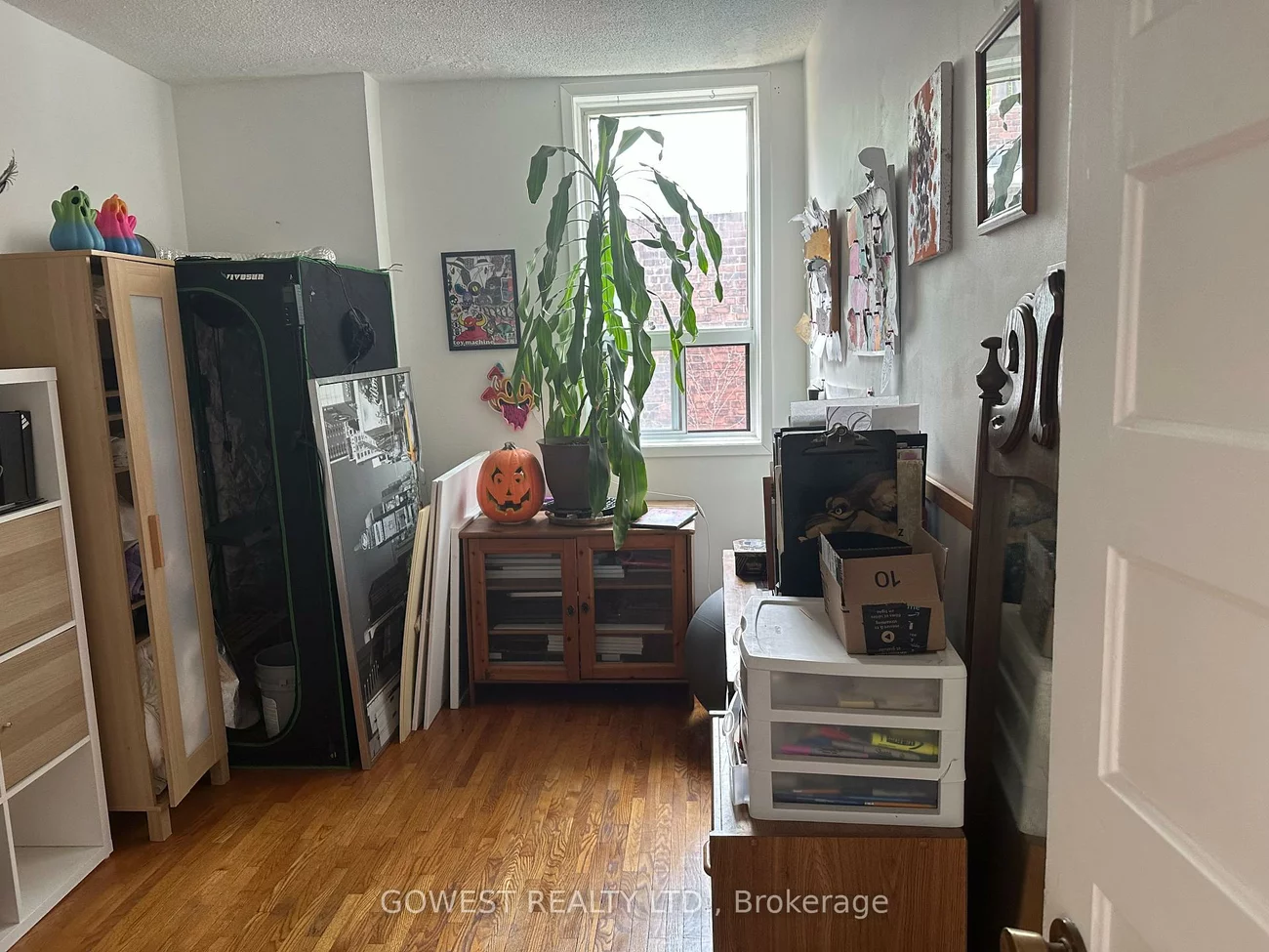 30, Grenadier, Roncesvalles, Toronto