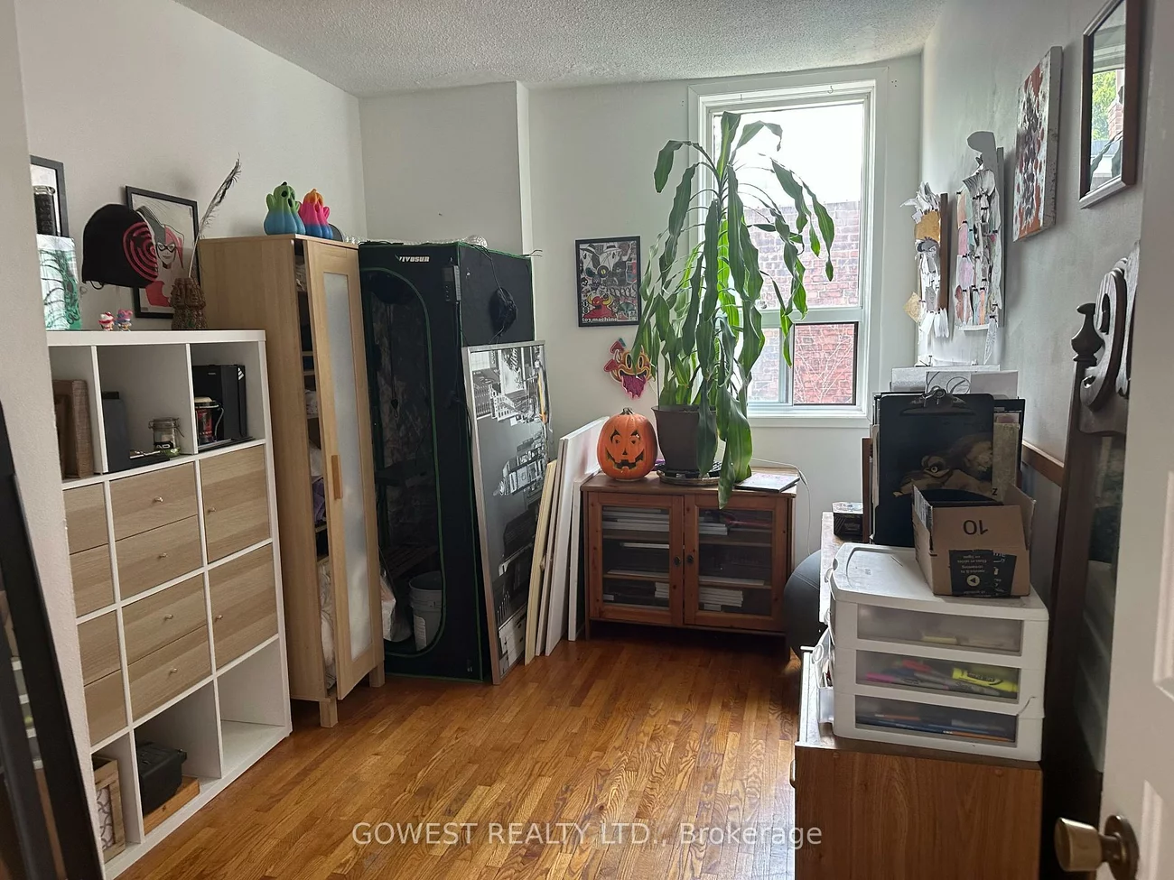 30, Grenadier, Roncesvalles, Toronto